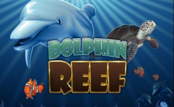 Dolphin-Reef