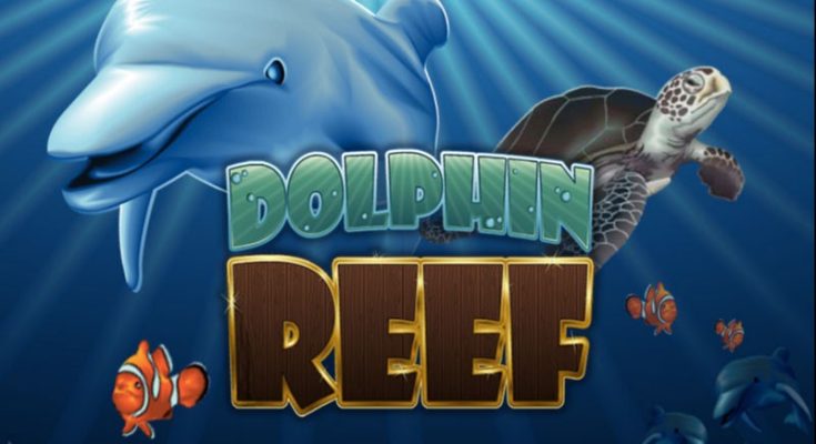 Dolphin-Reef