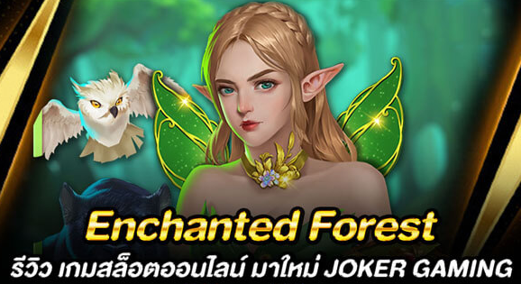 Enchanted-Forest