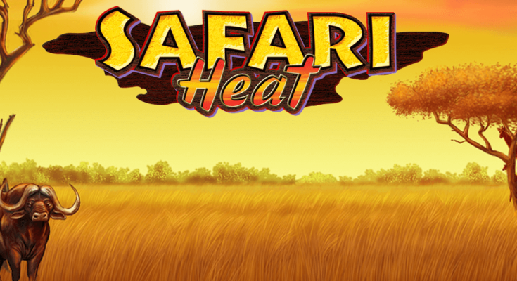 Safari-Heat